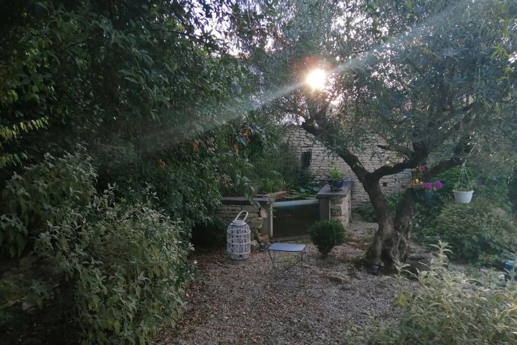 شقة La Jolie Parenthese Saint-Sauveur-d'Aunis المظهر الخارجي الصورة